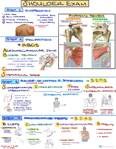 shoulder examination procedure pdf